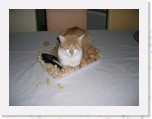 Tommy en Tymo 225 * 2048 x 1536 * (1.06MB)